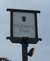 Mulberry Tree Attleborough