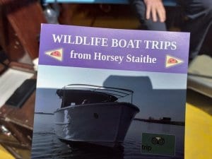 Ross Wildlife Boat Trips Horsey