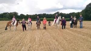 Willow Farm Riding School Great Yarmouth