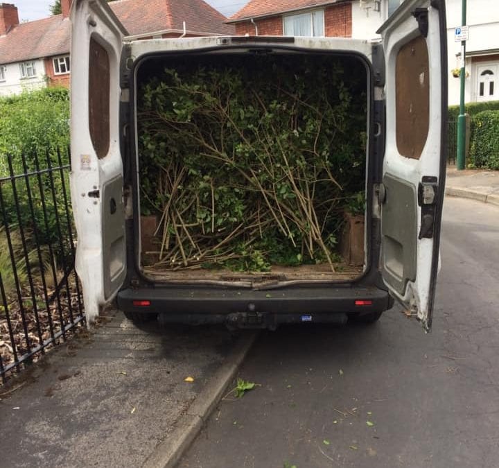 Gardeners in Attleborough Hedge Cutting Trimming