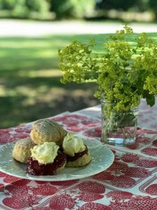 Afternoon Tea at College Farm Thompson